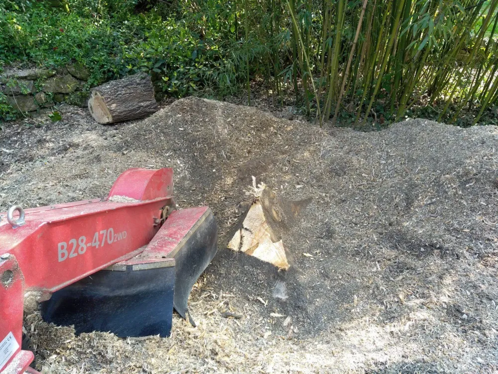 Dessouchage près de La Chaize-le-Vicomte